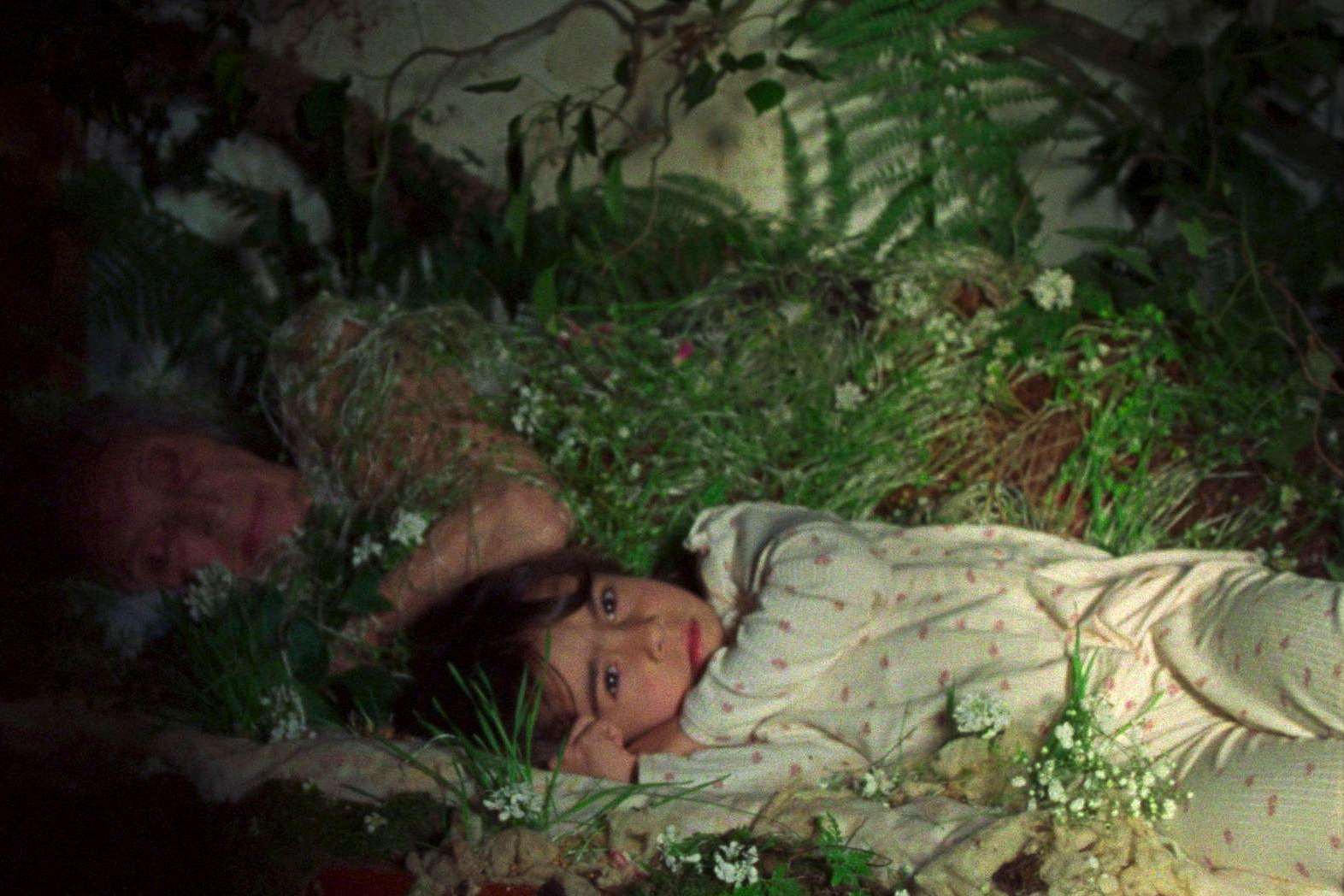 Fotograma promocional de 'Lejos de los árboles', película de Meritxell Colell Aparicio