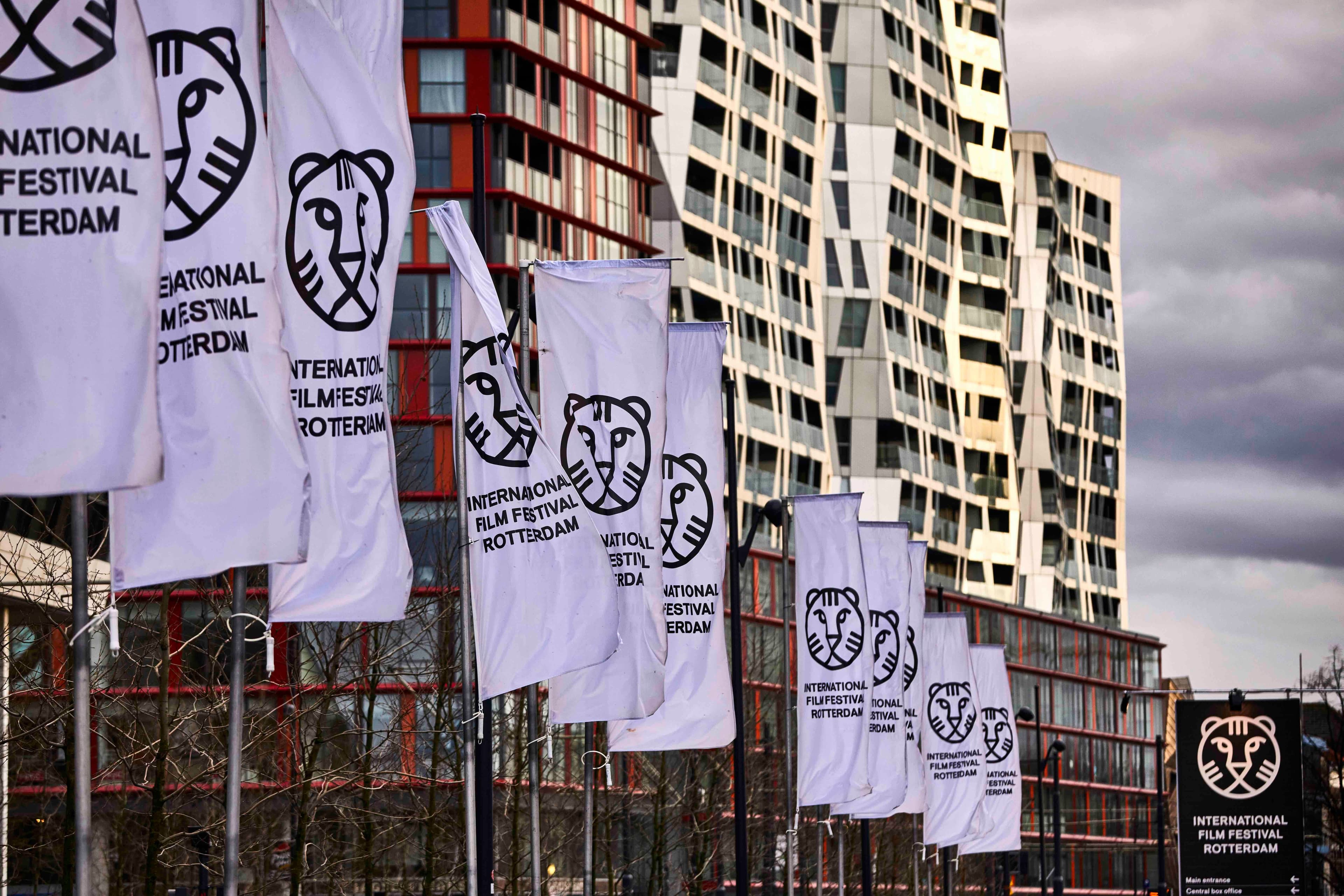 Foto de ambiente en el Festival de Róterdam